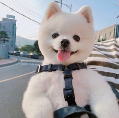 TP钱包(TokenPocket)钱包安卓版